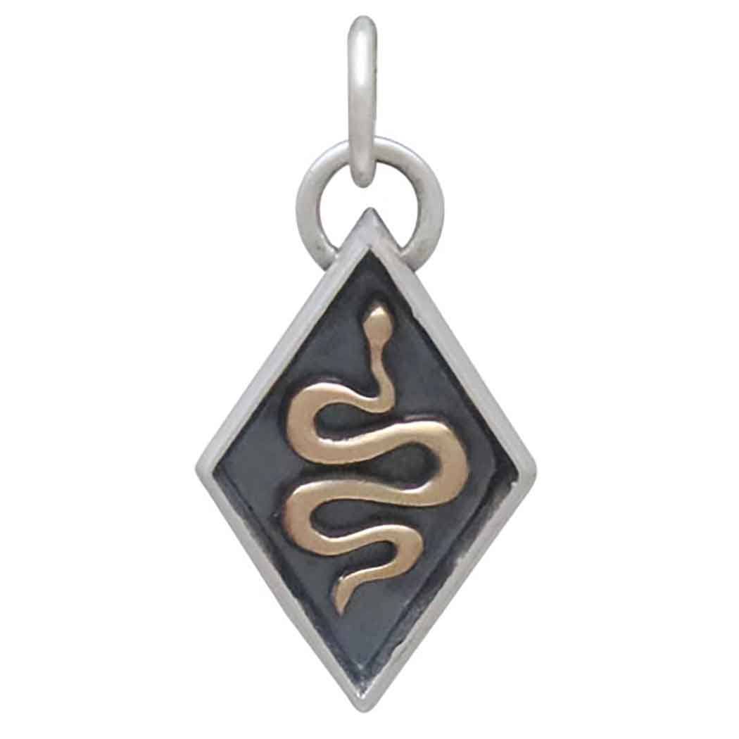 Mixed Metal Snake Shadow Box Charm