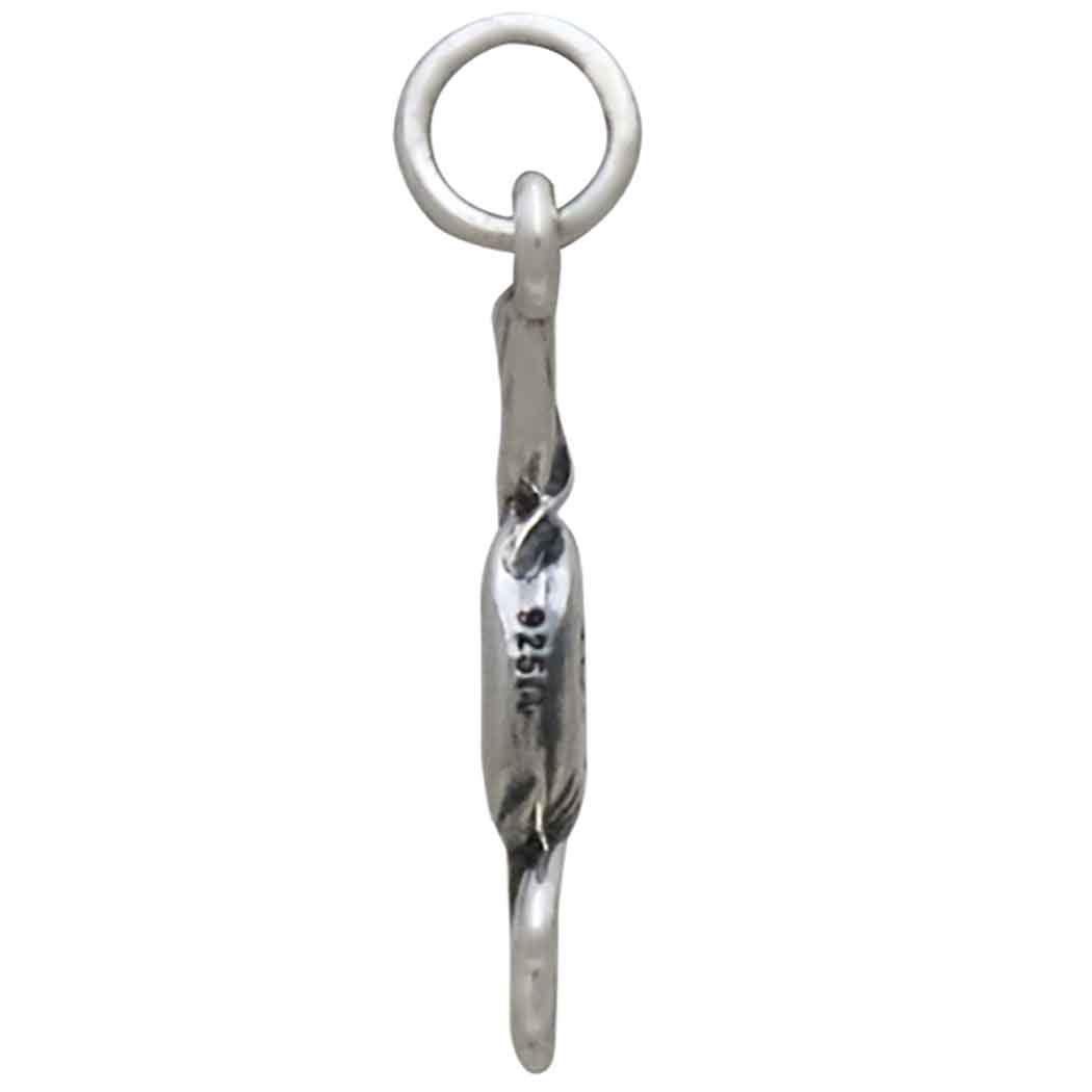 Sterling Silver Poison Candy Charm
