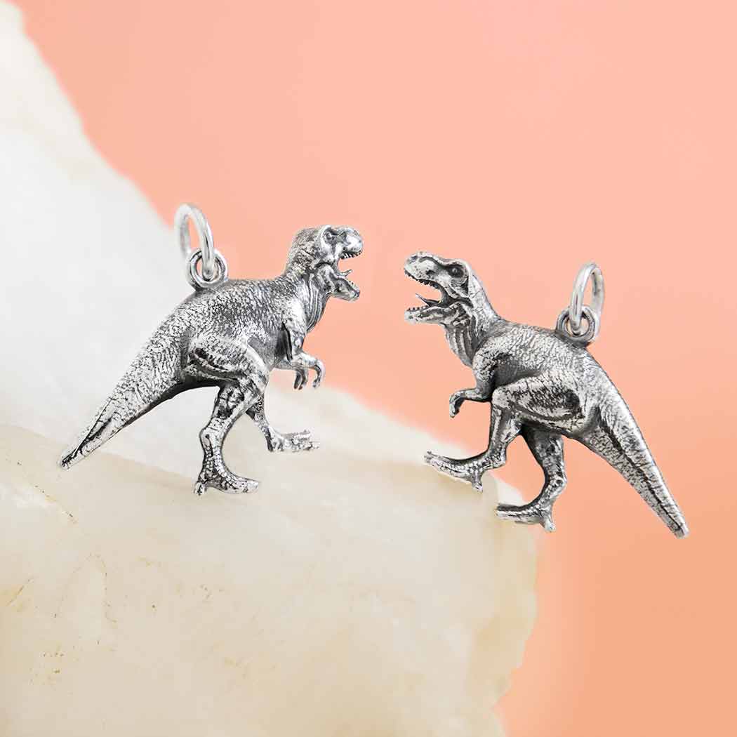 Sterling Silver T-Rex Dinosaur Charm