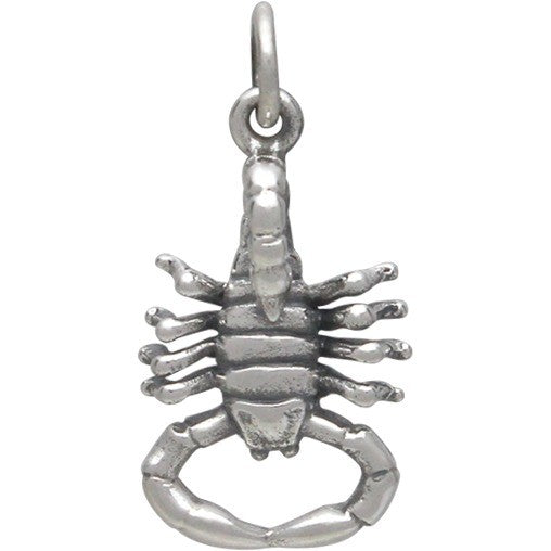 Sterling Silver Realistic Scorpion Charm - Poppies Beads n' More