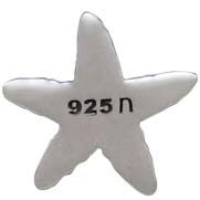 Sterling Silver Starfish Solderable Charm - Poppies Beads n' More